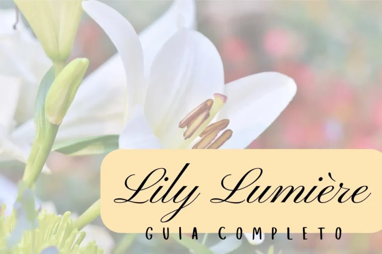 Lily Lumière Eau de Parfum